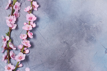 Similar image 20070638