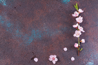 Similar image 20070639