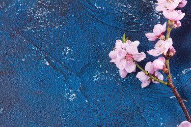 Similar image 20070640