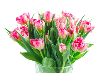 Similar image 20070641