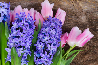 Similar image 20070642