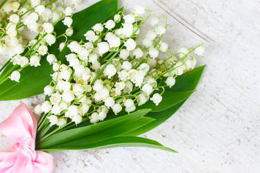 Similar image 20070648