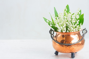 Similar image 20070649