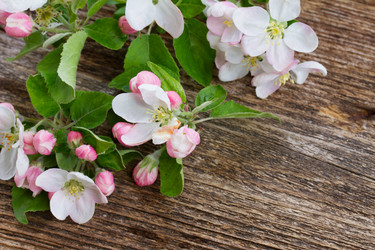 Similar image 20070650