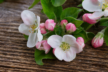 Similar image 20070651