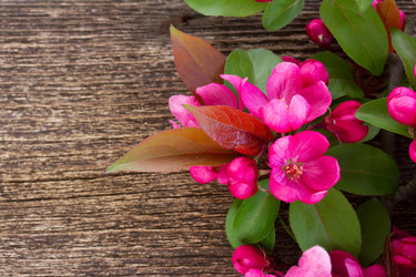 Similar image 20070652