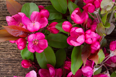 Similar image 20070653