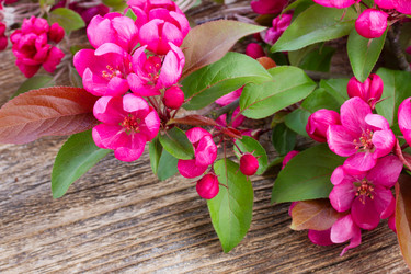 Similar image 20070654