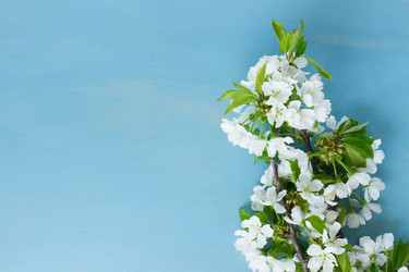 Similar image 20070655