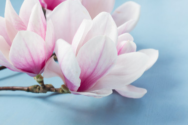 Similar image 20070656