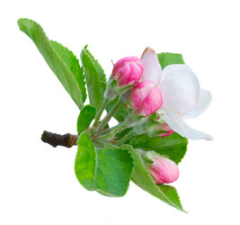 Similar image 20070658