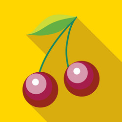 Similar image 20066107