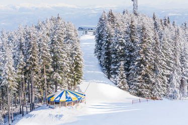 Similar image 19967756