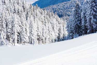 Similar image 19967861