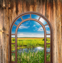 Similar image 19967907