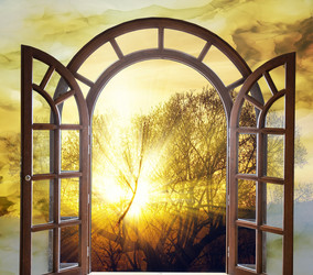 Similar image 19967941