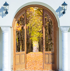 Similar image 19967980