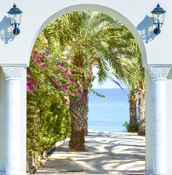 Similar image 19967999