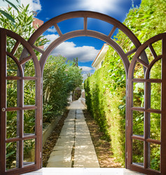 Similar image 19968019