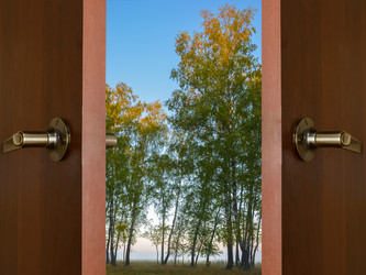 Similar image 19968024