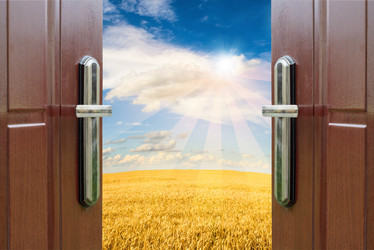 Similar image 19968061