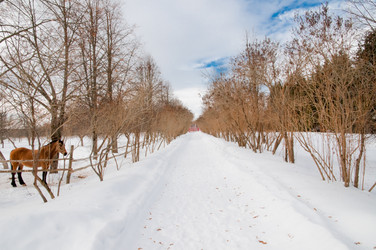 Similar image 19968083