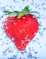 Similar image 19968089