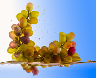 Similar image 19968091