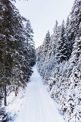 Similar image 19968166