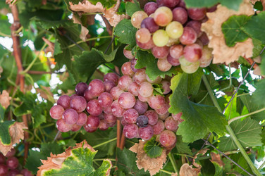 Similar image 19968173