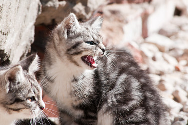 Similar image 19968176