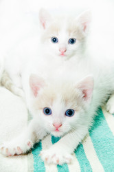 Similar image 19968178