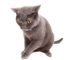 Similar image 19968179