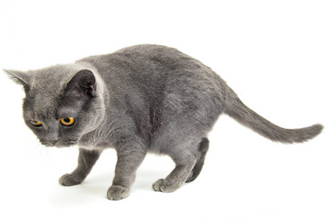 Similar image 19968181