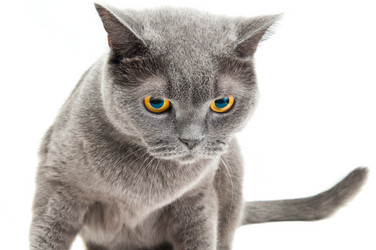 Similar image 19968183