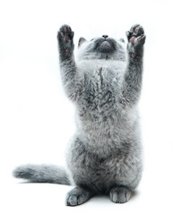 Similar image 19968187