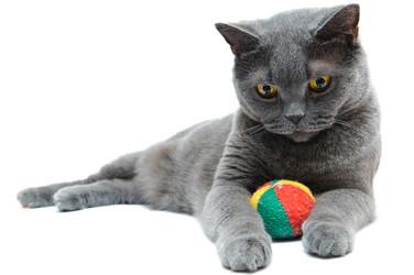 Similar image 19968190