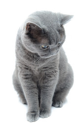 Similar image 19968192