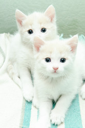 Similar image 19968194