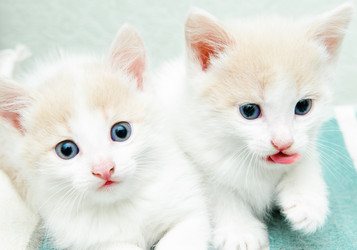 Similar image 19968196