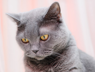 Similar image 19968198