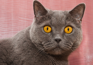 Similar image 19968199