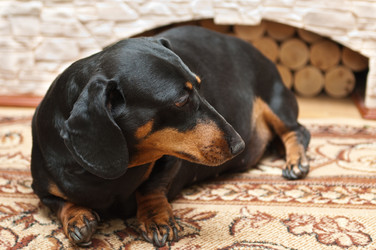 Similar image 19968202