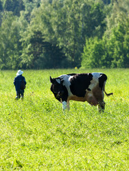 Similar image 19968205