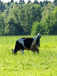 Similar image 19968207