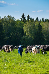 Similar image 19968209