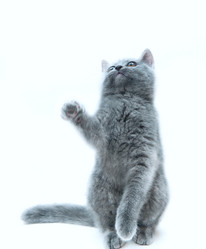 Similar image 19968232