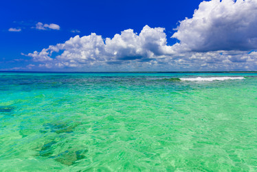 Similar image 19968357