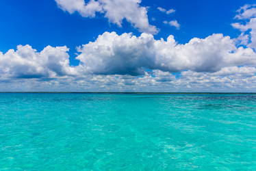 Similar image 19968363