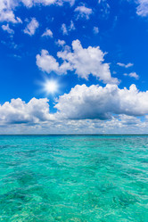 Similar image 19968374